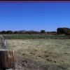 68 Acre Irrigated Farm SOLD